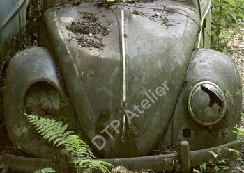 Postkarte «VW Käfer» aus der Reihe «Technik + Natur»