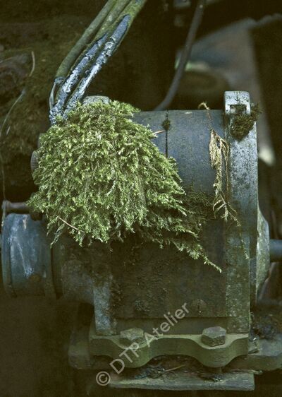 Postkarte «Moosmotor» aus der Reihe «Technik + Natur»