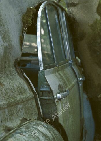 Postkarte «Auto + Baum» aus der Reihe «Technik + Natur»