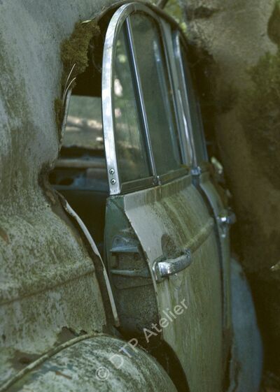 Postkarte «Auto + Baum» aus der Reihe «Technik + Natur»