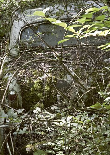 Postkarte «Tarnung» aus der Reihe «Technik + Natur»