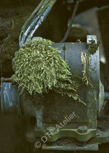 Postkarte «Moosmotor» aus der Reihe «Technik + Natur»