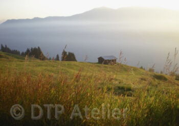 Postkarte «Domleschg im Nebelmeer»