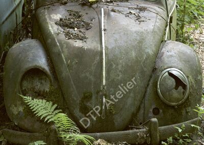 Postkarte «VW Käfer» aus der Reihe «Technik + Natur»