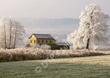 Raureif beim Fischerhaus am Greifensee (Riedikon)