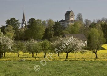 Uster - Burg und Kirche I