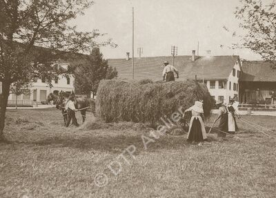 Heuen an der Zürichstrasse in Uster, 1900