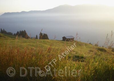 Postkarte «Domleschg im Nebelmeer»