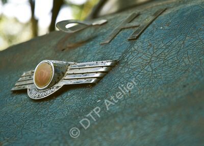 Postkarte «Morris.ch» aus der Reihe «Technik + Natur»