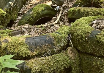 Postkarte «Reifen» aus der Reihe «Technik + Natur»