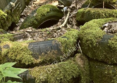 Postkarte «Reifen» aus der Reihe «Technik + Natur»