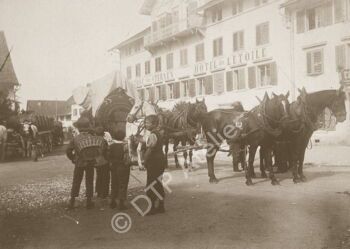 Pferdegespanne auf dem Ustermer Sternenplatz