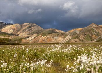 Postkarte «Landmannalaugar» aus der Reihe «Eis + Land», Foto: Annalena Moser