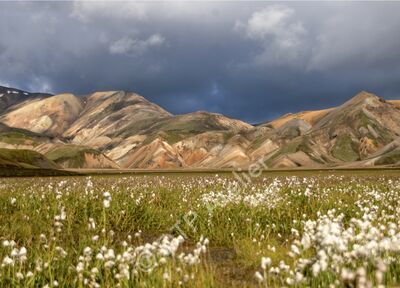 Postkarte «Landmannalaugar» aus der Reihe «Eis + Land», Foto: Annalena Moser