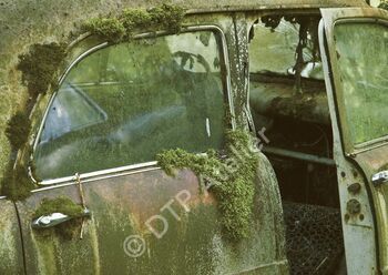 Postkarte «Moostür» aus der Reihe «Technik + Natur»