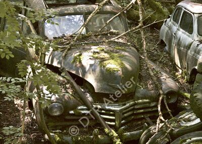 Postkarte «Endstation» aus der Reihe «Technik + Natur»