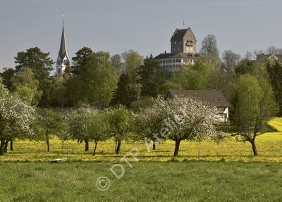 Uster - Burg und Kirche I
