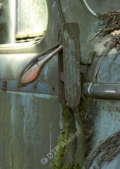 Postkarte «Blinker» aus der Reihe «Technik + Natur»