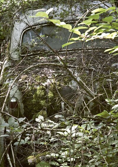 Postkarte «Tarnung» aus der Reihe «Technik + Natur»