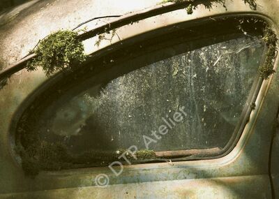 Postkarte «Hitchcock-Fenster» aus der Reihe «Technik + Natur»