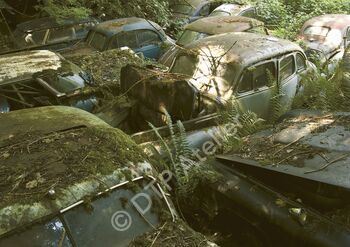 Postkarte «Autofriedhof» aus der Reihe «Technik + Natur»