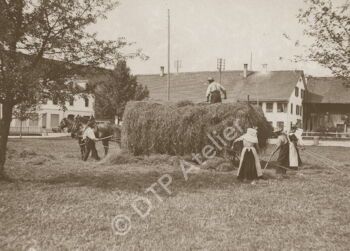 Heuen an der Zürichstrasse in Uster, 1900